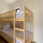 Blisko Natury Apartment *